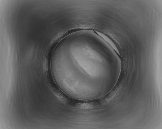 X0000116650303200912141301