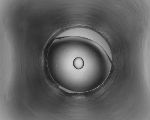 X0000116650304200912141301