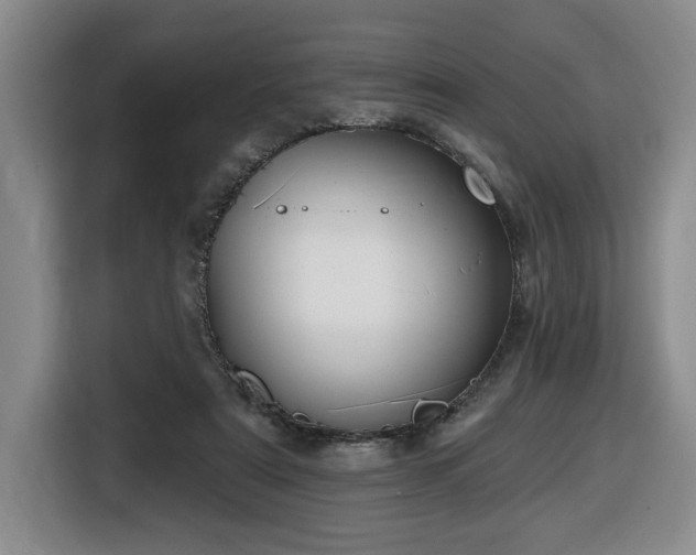 X0000116650307200912141301