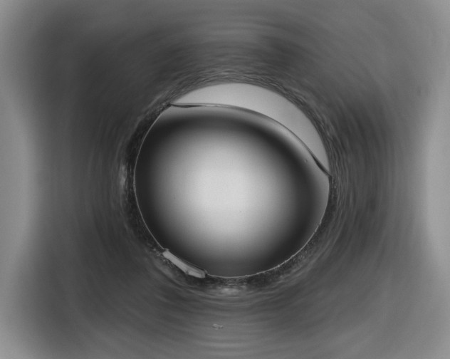 X0000116650308200912141301