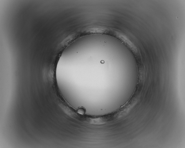 X0000116650309200912141301