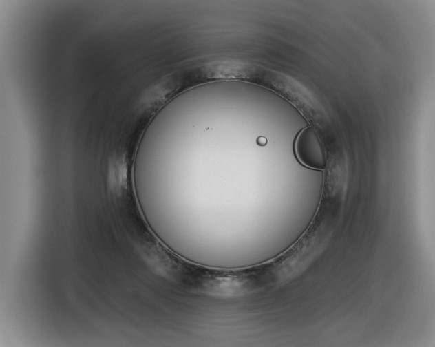 X0000116650310200912141301