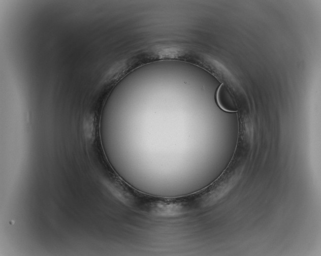 X0000116650311200912141301