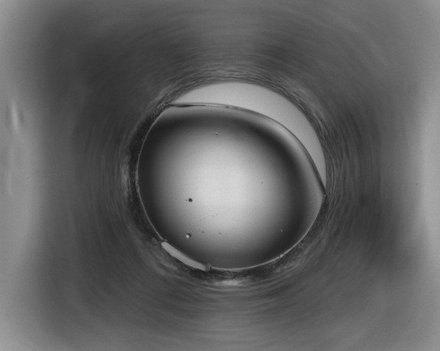 X0000116650312200912141300