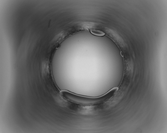 X0000116650313200912141300