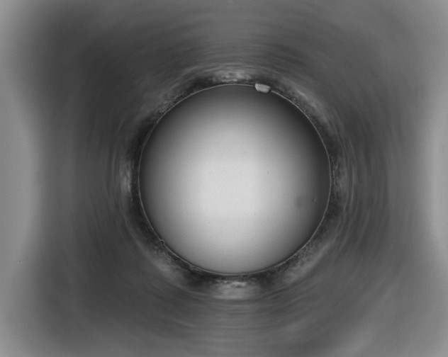 X0000116650315200912141300