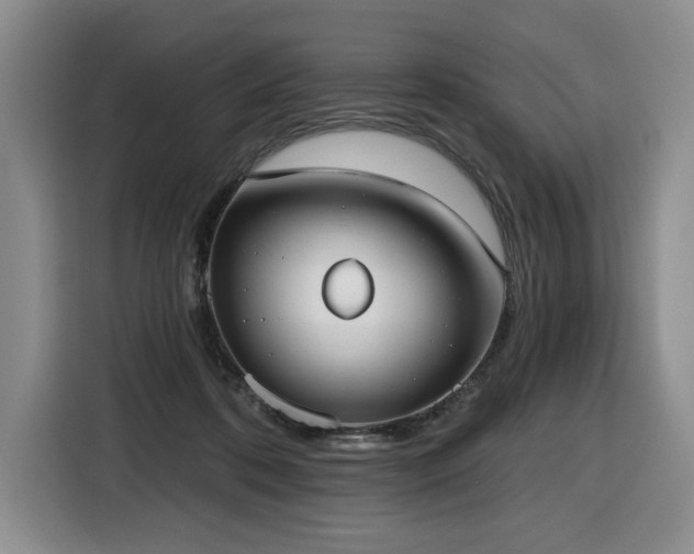 X0000116650316200912141300