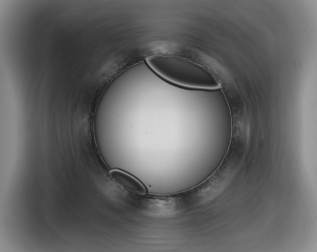 X0000116650317200912141300