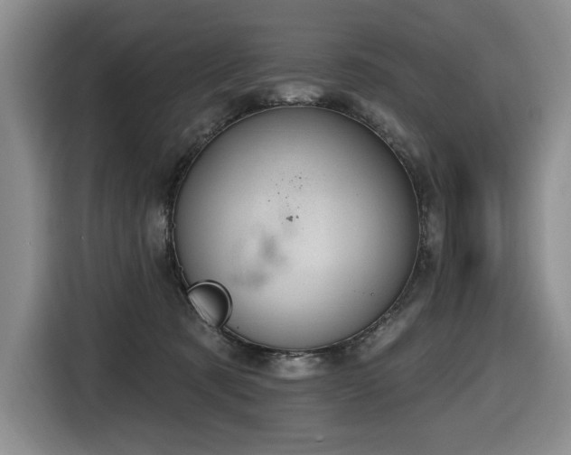 X0000116650321200912141300