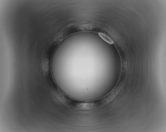 X0000116650323200912141300