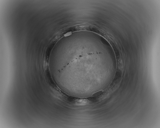 X0000116650324200912141300