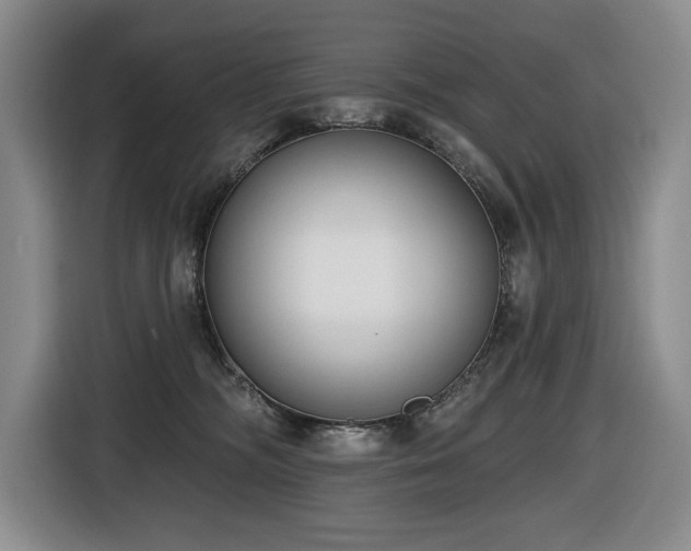 X0000116650326200912141300