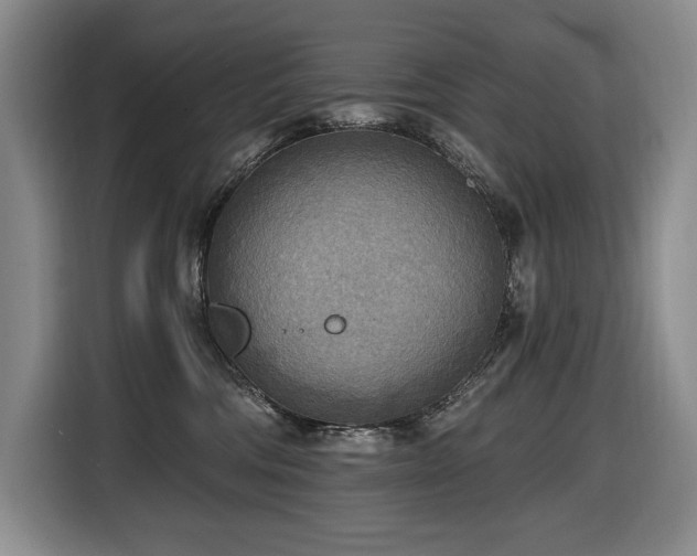 X0000116650330200912141300