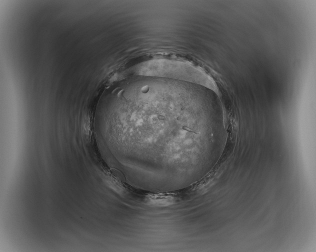 X0000116650331200912141300