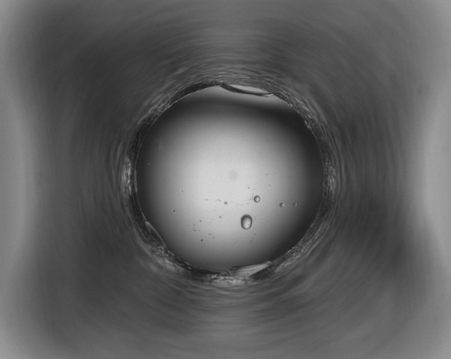 X0000116650332200912141300