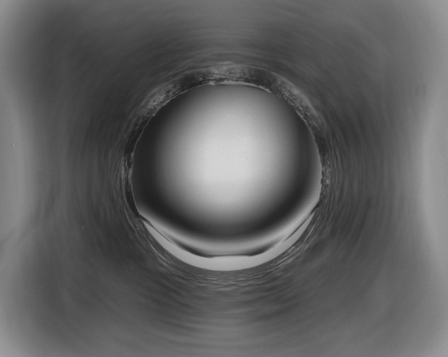 X0000116650333200912141300