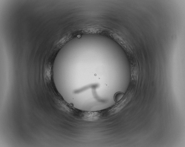 X0000116650334200912141300