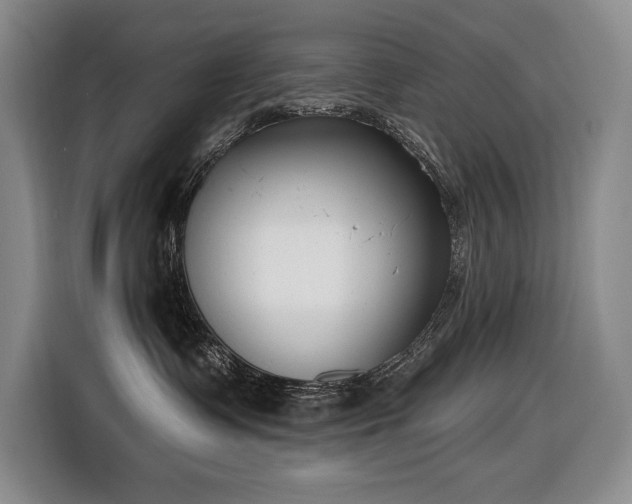 X0000116650335200912141300