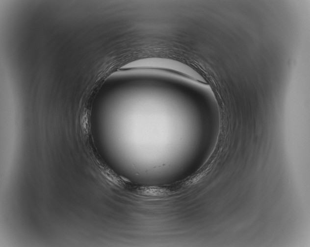 X0000116650336200912141300