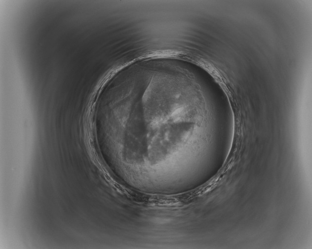 X0000116650337200912141300