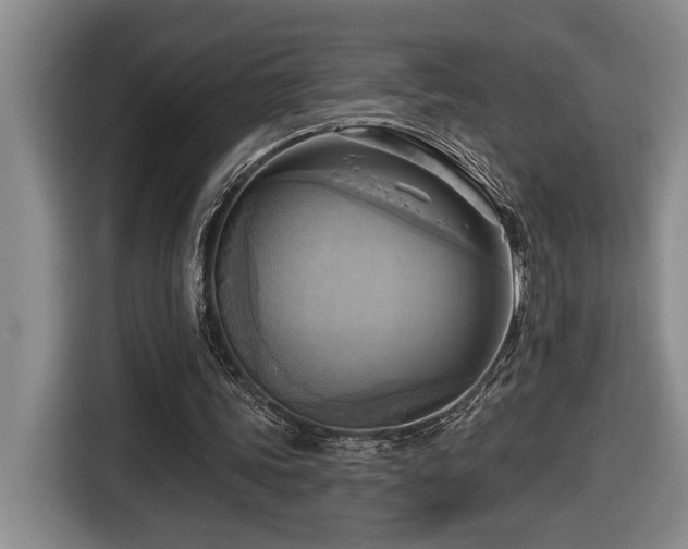 X0000116650339200912141300