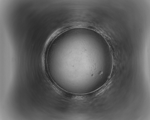 X0000116650341200912141300