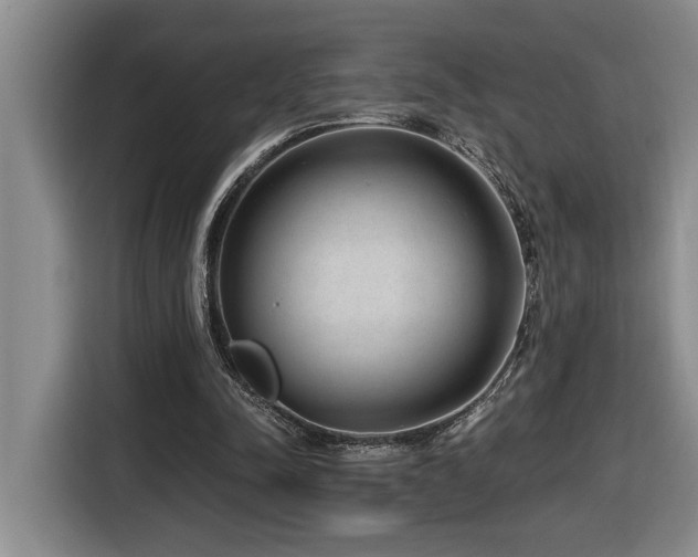 X0000116650342200912141300