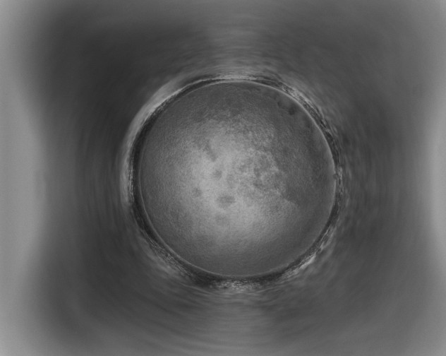X0000116650343200912141300