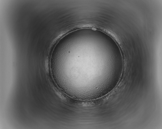 X0000116650345200912141300