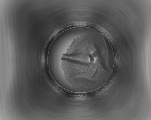 X0000116650347200912141300