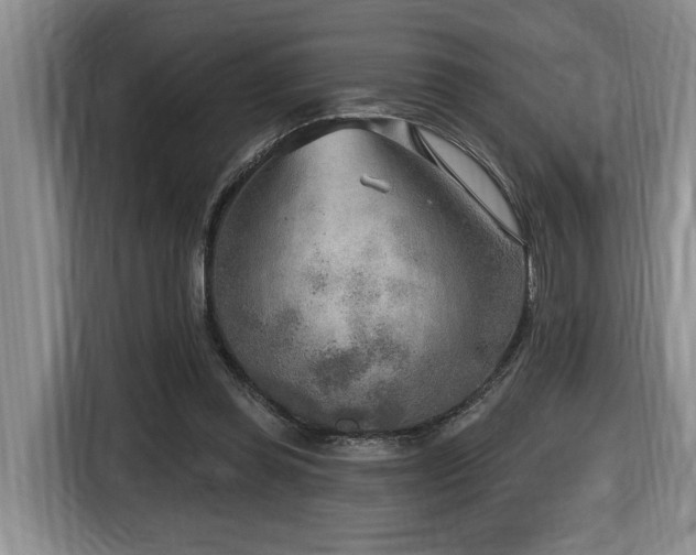 X0000116650349200912141300