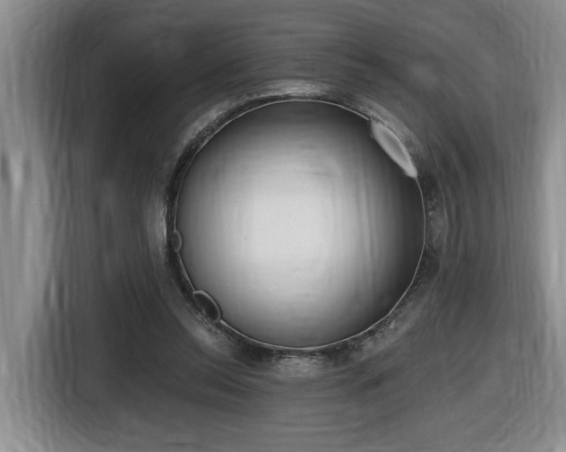 X0000116650350200912141300