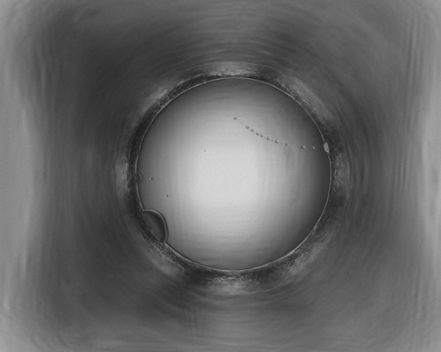 X0000116650351200912141300