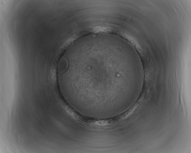 X0000116650353200912141300