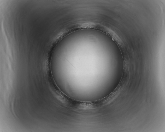 X0000116650354200912141300
