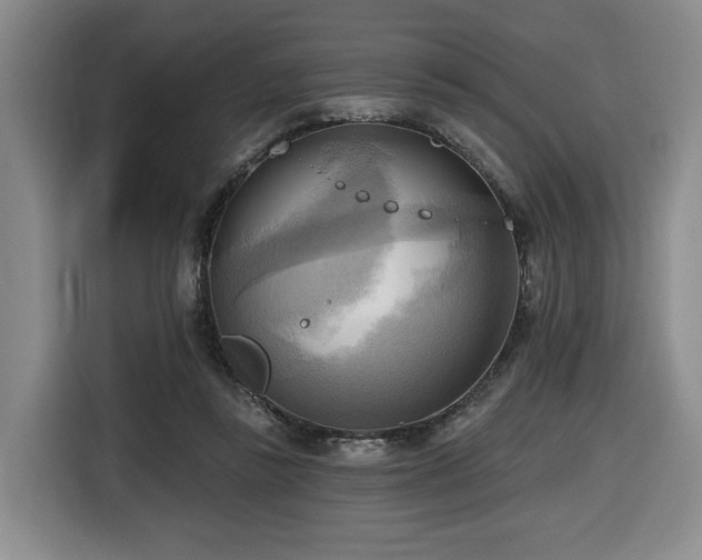 X0000116650355200912141300