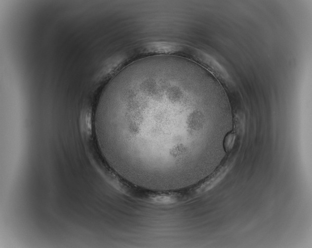 X0000116650358200912141300