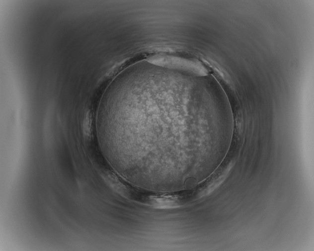 X0000116650359200912141300
