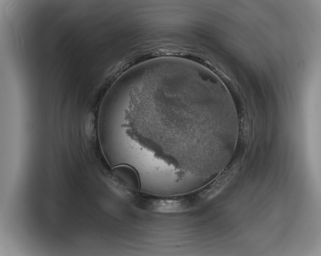 X0000116650361200912141300