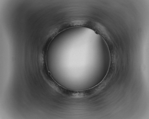 X0000116650362200912141300