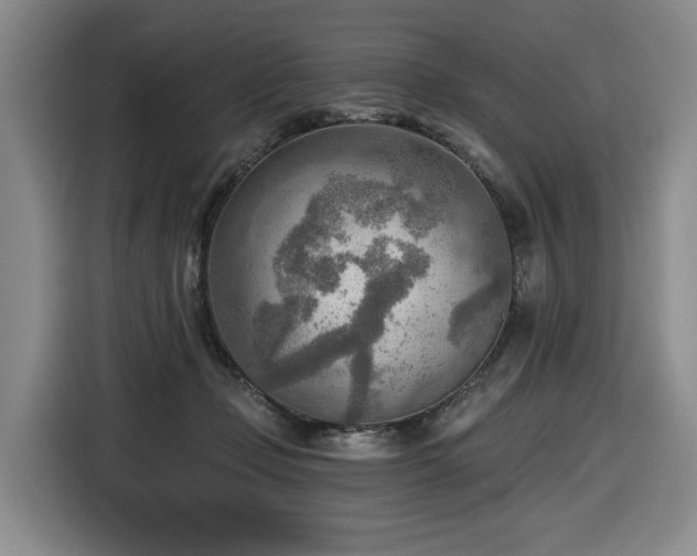X0000116650365200912141300