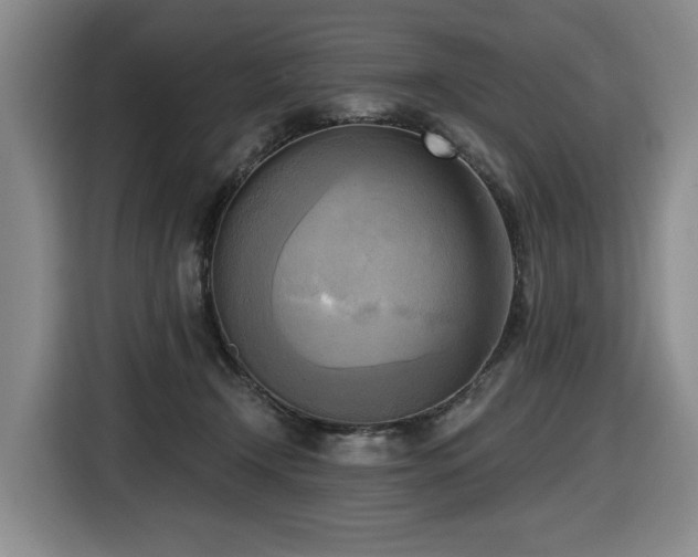 X0000116650366200912141300