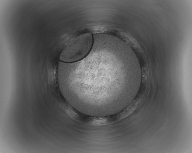 X0000116650369200912141300