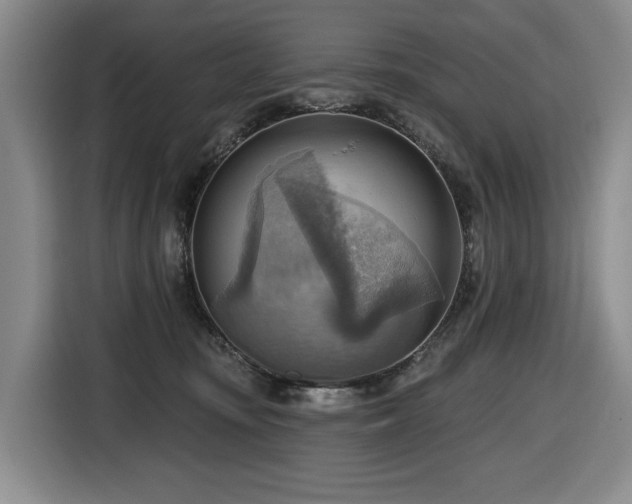 X0000116650371200912141300