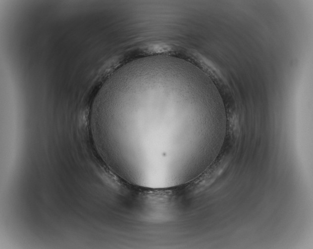 X0000116650373200912141300