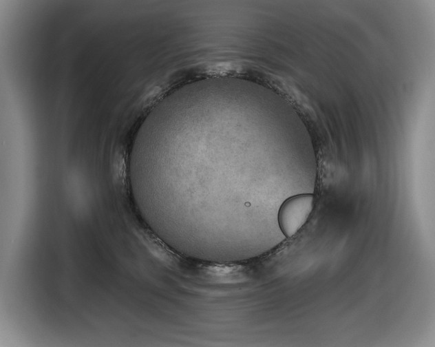 X0000116650375200912141300