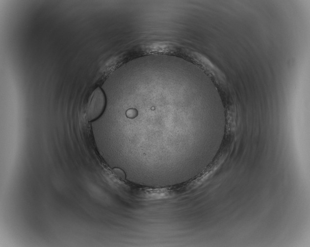 X0000116650377200912141300