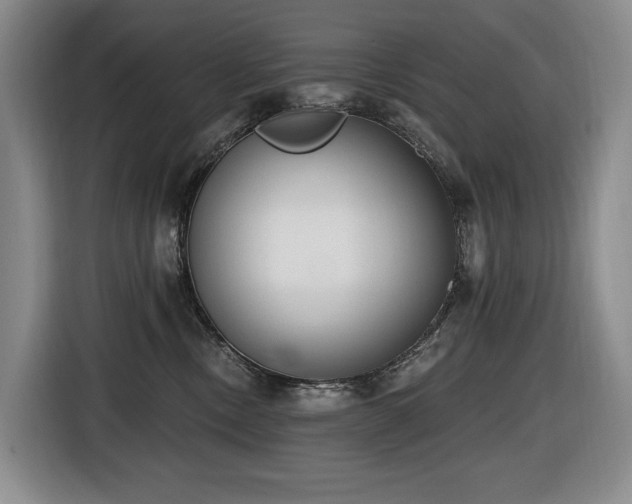 X0000116650378200912141300