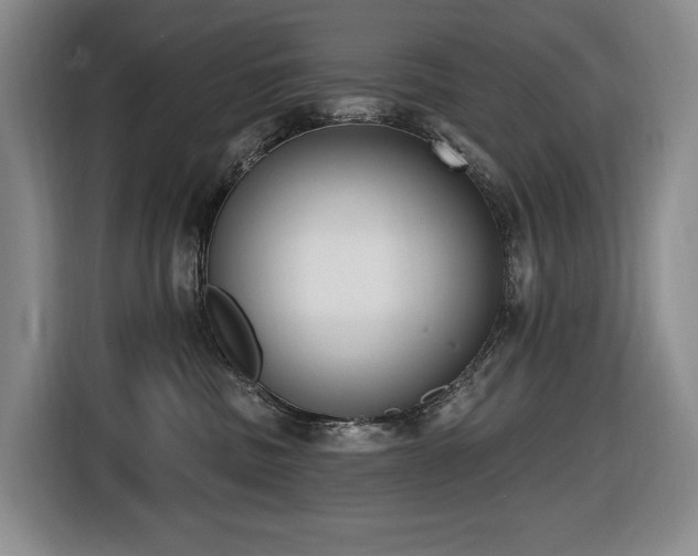 X0000116650379200912141300