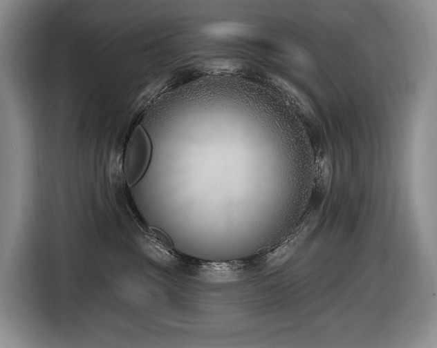 X0000116650381200912141300
